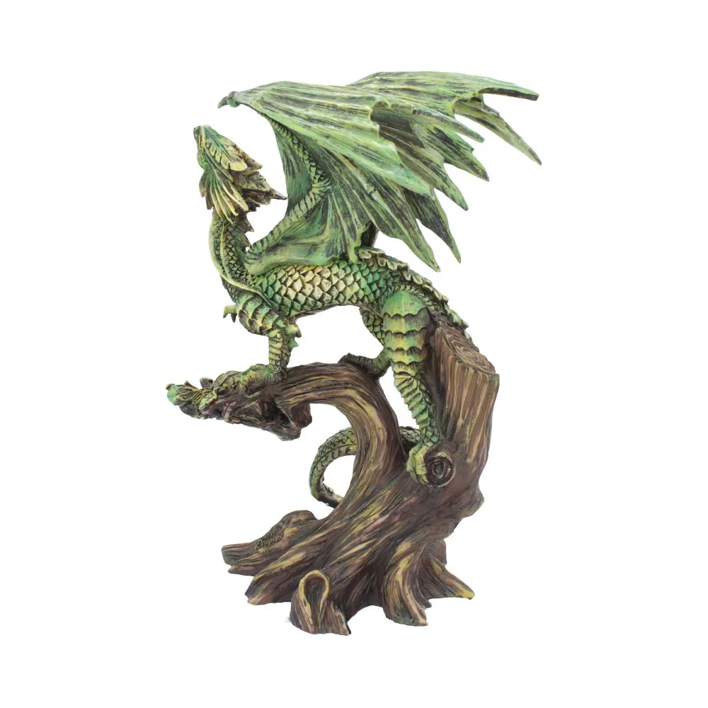Adult Forest Dragon - Image 3
