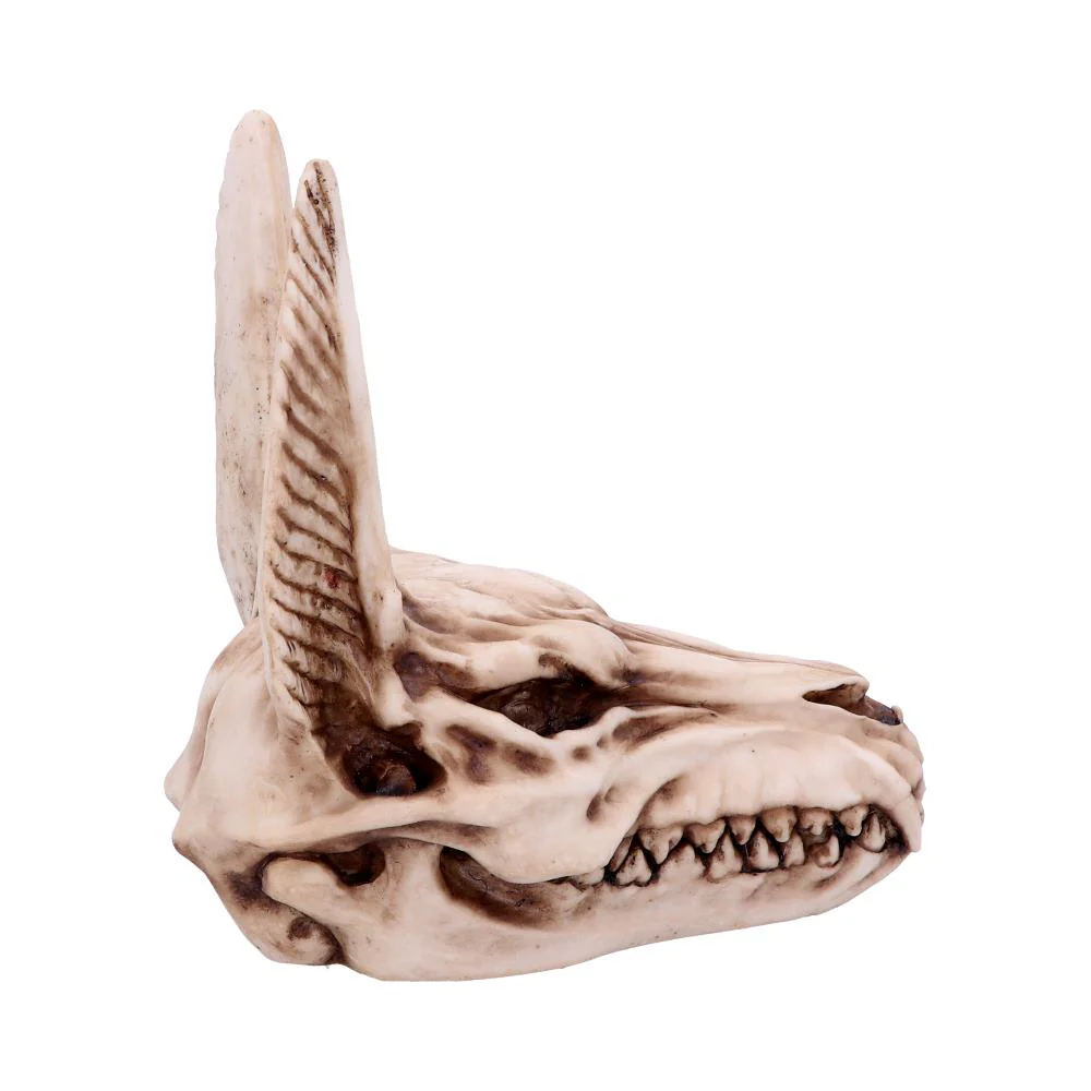 Anubis Skull - Image 4
