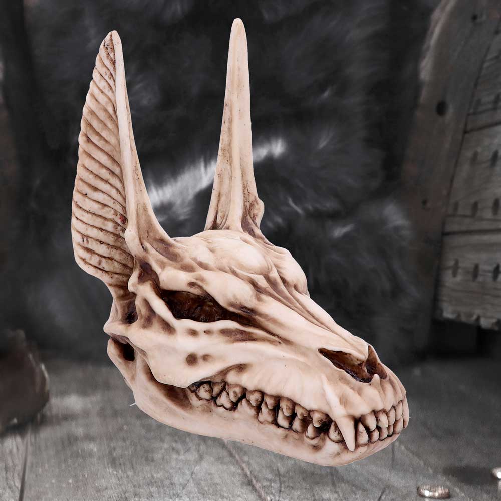 Anubis Skull - Image 5