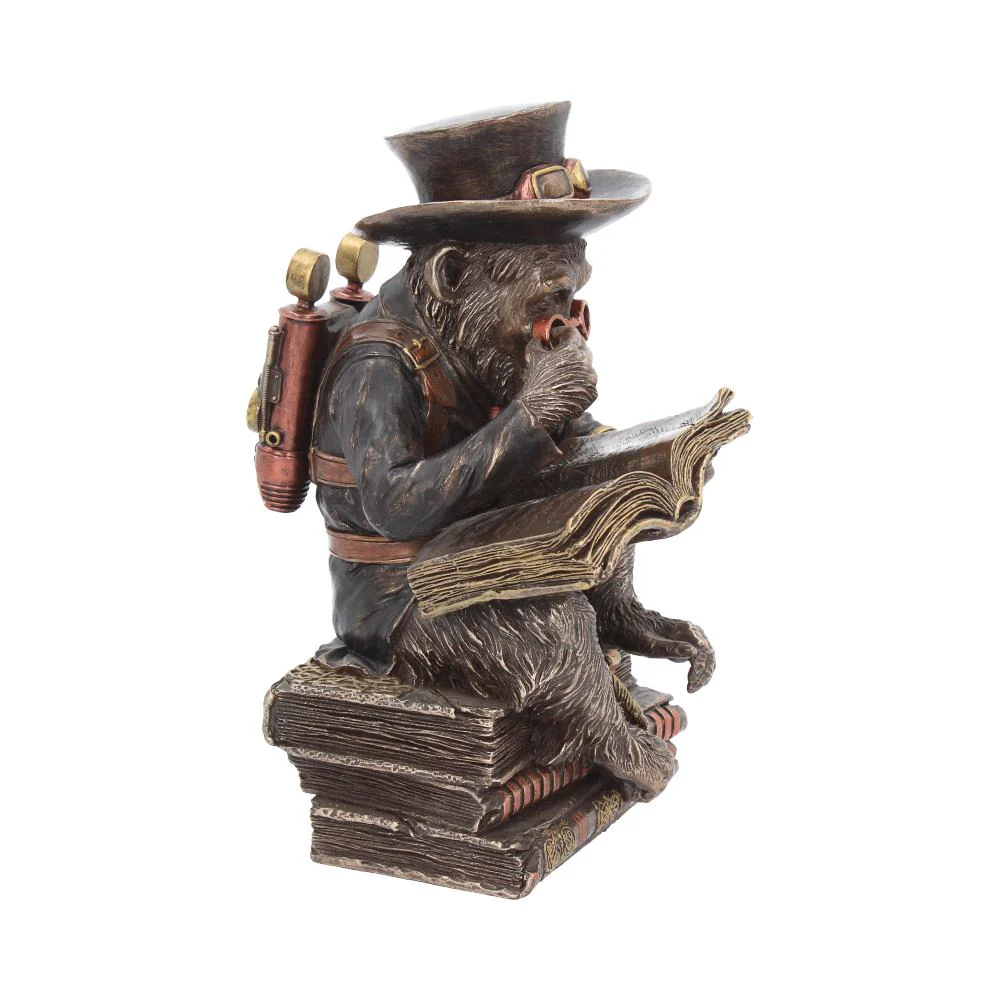 Chimpanzee Scholar - Image 6