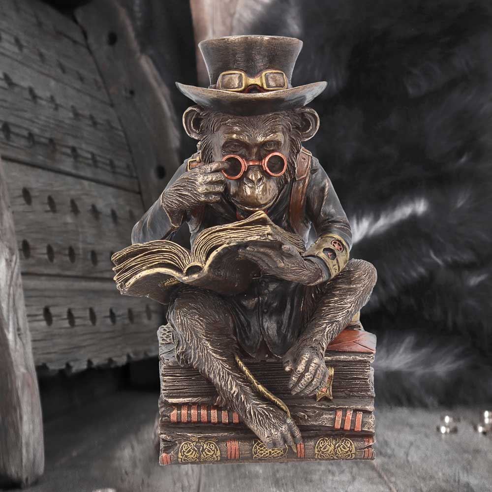 Chimpanzee Scholar - Image 7