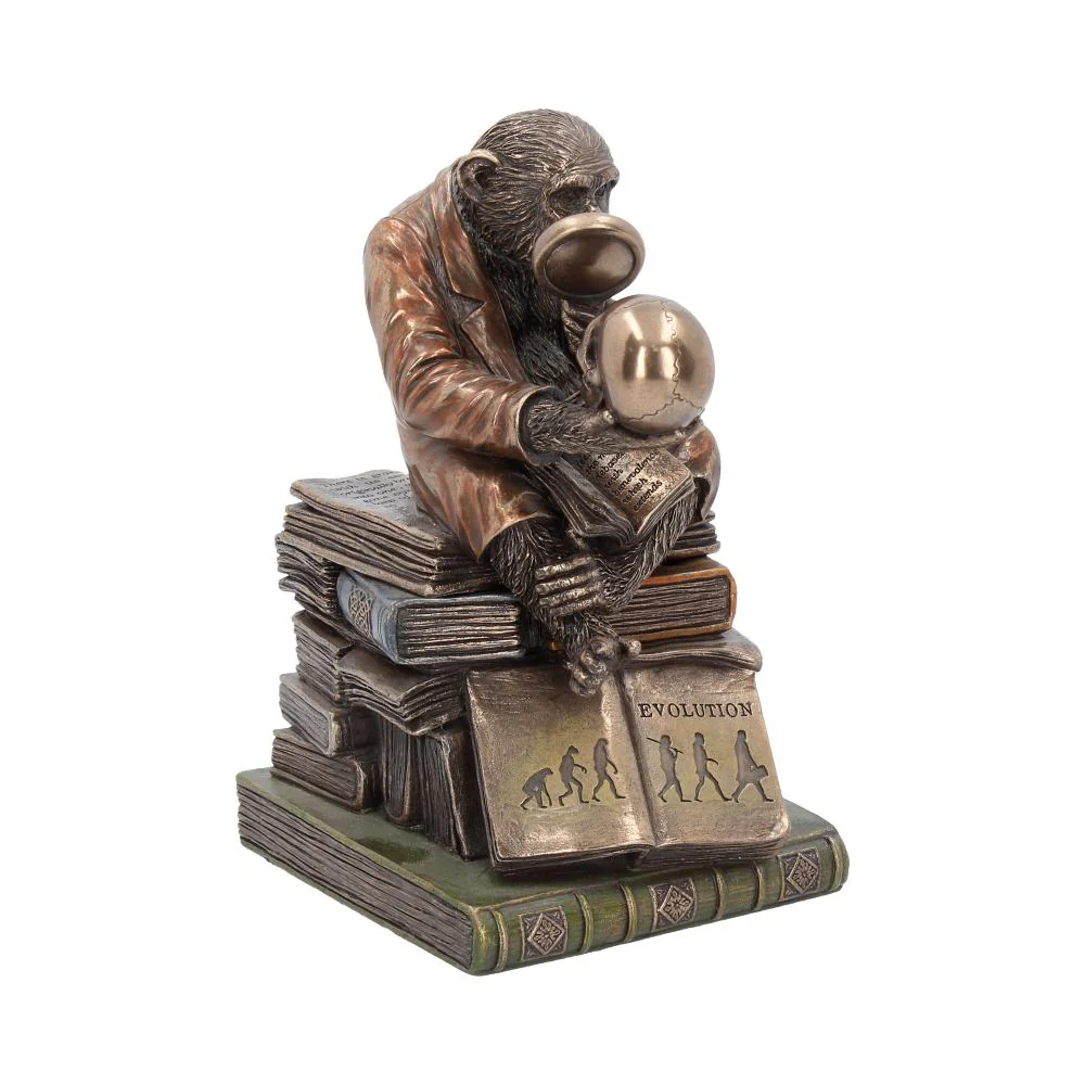 Darwinism of Evolutionary Theory - Image 6