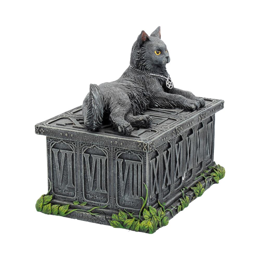 Fortune's Watcher Black Cat Tarot Box - Image 6