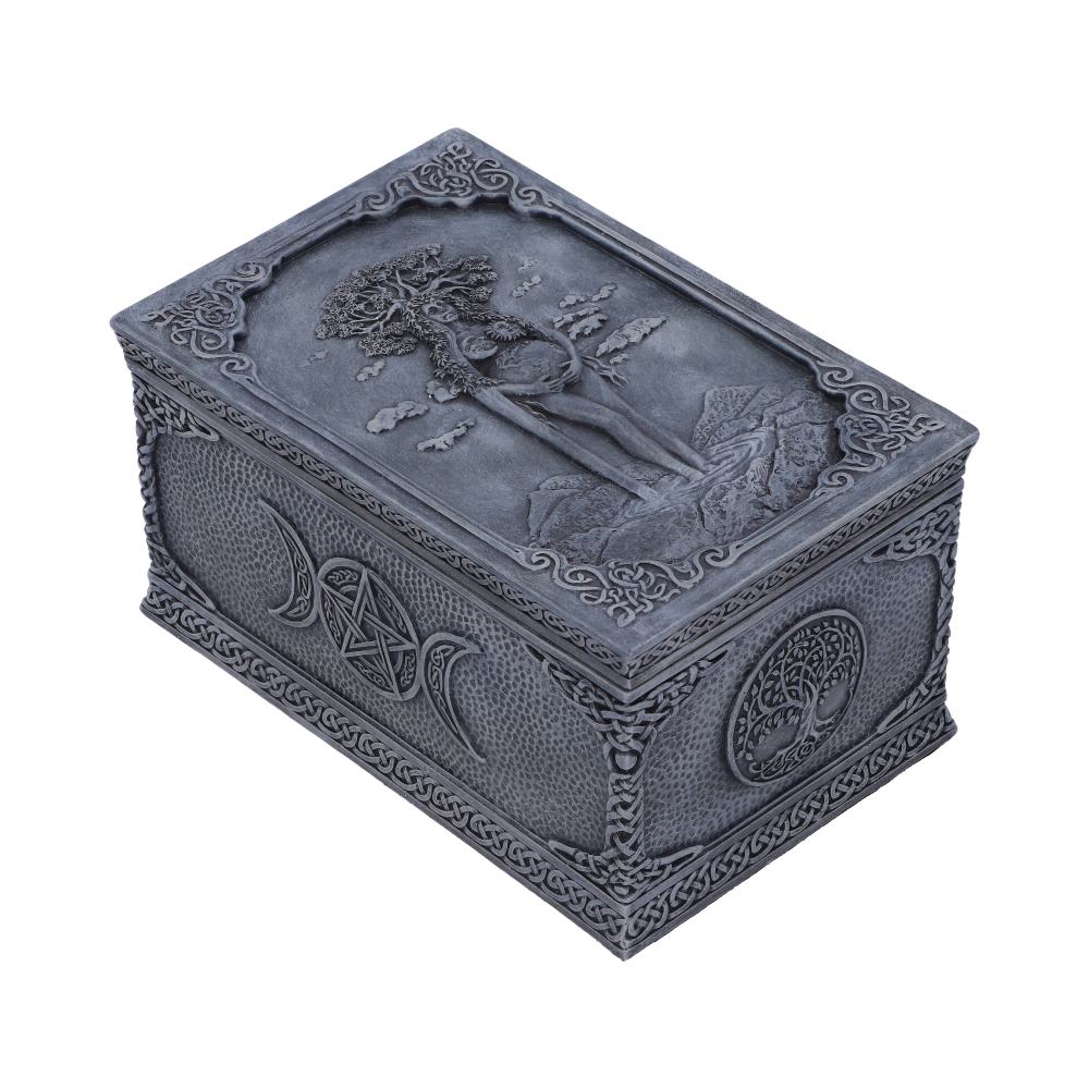 Mother Earth Box - Image 3