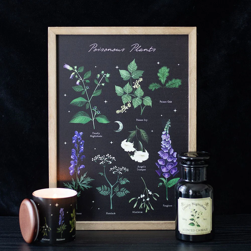 Poisonous Plants Framed Wall Art Print - Image 4